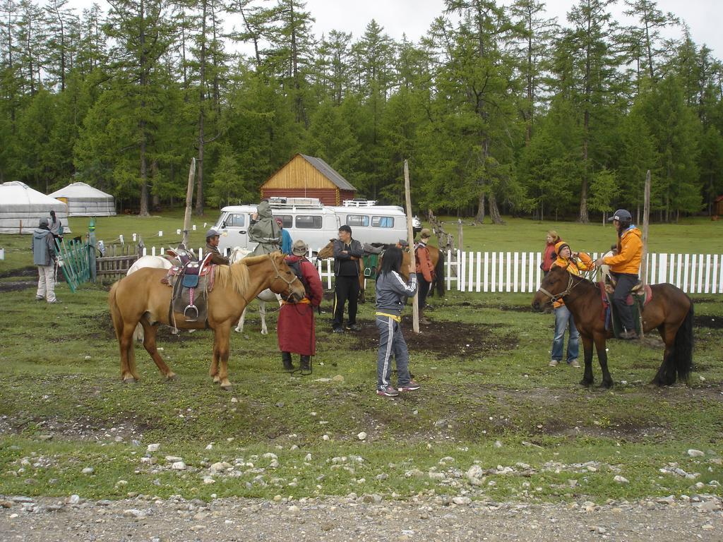 Sunpath Mongolia Tour & Hostel Ulaanbaatar Room photo